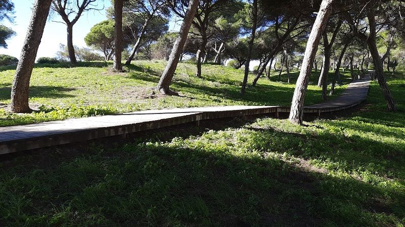 [Img #184003]