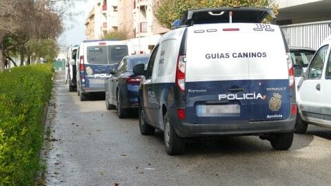 Las 40 viviendas y entorno del bulevar, zonas de actuaci&oacute;n