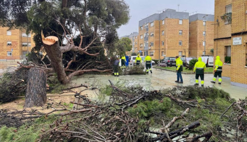 Los servicios de emergencia activados por el Ayuntamiento de Rota act&uacute;an en algunas de las incidencias provocadas por el viento
