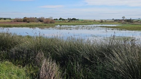 Uno de los humedales visitados en Rota