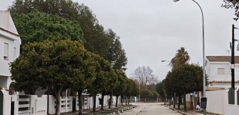 Las dependencias municipales vuelven a la normalidad y los parques permanecer&aacute;n cerrados