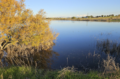 Ecologistas propone una actividad en Rota para conmemorar el D&iacute;a Mundial de los Humedales