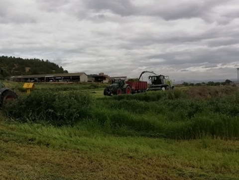 Una empresa agroganadera de Rota busca personal para trabajar
