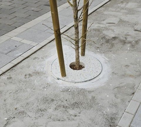 Imagen de Ecologistas en Acción