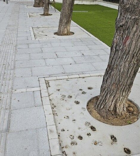 Foto de Ecologistas en Acción