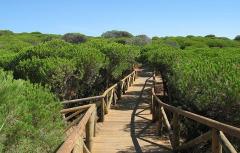 Rota consigue un a&ntilde;o m&aacute;s los galardones Sendero Azul para la V&iacute;a Verde y la Red de Senderos y Pasarelas