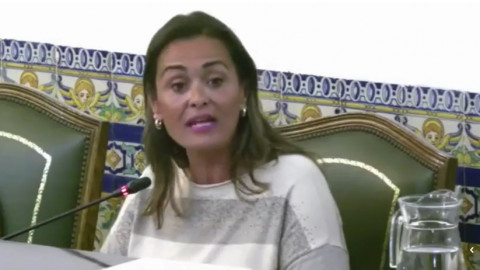 Vox se queda solo en la petici&oacute;n al pleno sobre la eficacia y coste de los Puntos Violeta