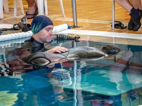 Foto: Ram&oacute;n Esteban