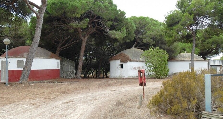 Verdes Equo Rota  sigue defendiendo que La Forestal forme parte de un parque periurbano
