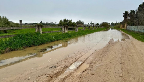 El sector agrario se podr&aacute; beneficiar de medidas fiscales si sufrieron los da&ntilde;os de los temporales