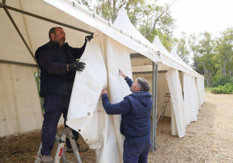 Los pinares se preparan para la romer&iacute;a de San Isidro este domingo