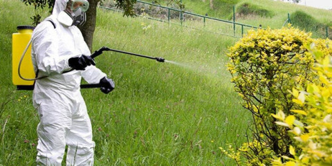 UPA C&aacute;diz organiza un curso gratuito de aplicador de productos fitosanitarios de nivel cualificado