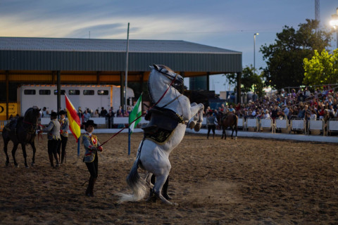 El caballo y el arte de la doma volvieron a ser protagonistas del espect&aacute;culo ecuestre de feria