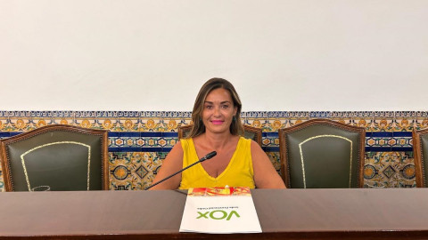 El pleno aprueba la moci&oacute;n de Vox para agilizar los tiempos de espera en discapacidad y dependencia