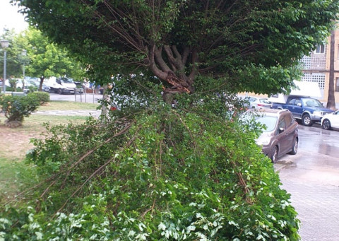 Los parques y jardines permanecer&aacute;n cerrados hasta el martes