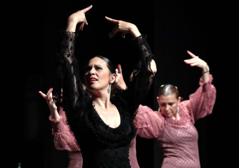 El espect&aacute;culo de Ofelia M&aacute;rquez "Al comp&aacute;s de Andaluc&iacute;a" llenar&aacute; este jueves el auditorio municipal