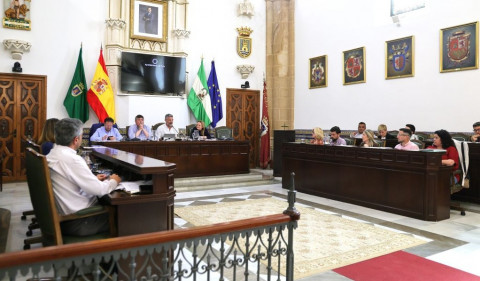 El pleno aborda iniciativas sobre accesibilidad, memoria democr&aacute;tica y seguridad