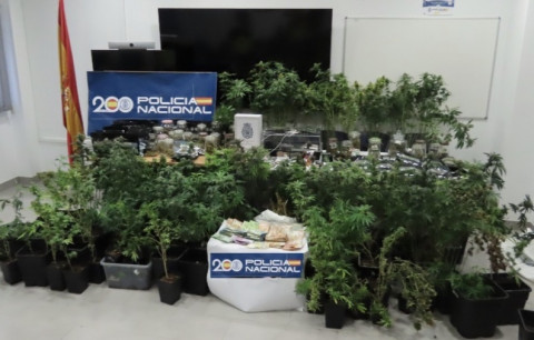 La Polic&iacute;a Nacional desmantela una plantaci&oacute;n de marihuana en el centro de Rota