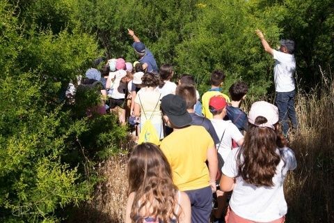 Una de las visitas con alumnos