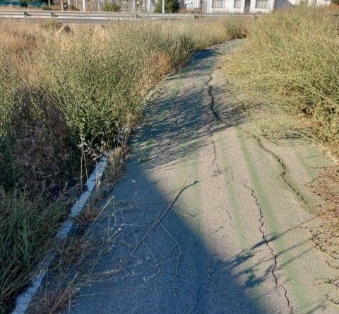 Algunas grietas y vegetación crecida