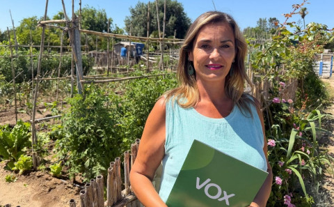 Vox Rota propone proteger el tomate rote&ntilde;o con una IGP y un banco de semillas para preservar su futuro