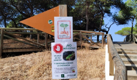 El Ayuntamiento de Rota act&uacute;a y pide colaboraci&oacute;n ciudadana para evitar los incendios forestales