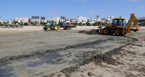 El PSOE pedir&aacute; en el pleno ayuda a otras administraciones para combatir la presencia del alga invasora  en las playas de Rota