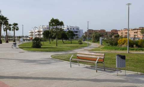 Entra en vigor la primera Ordenanza Municipal de Arbolado y Zonas Verdes en Rota