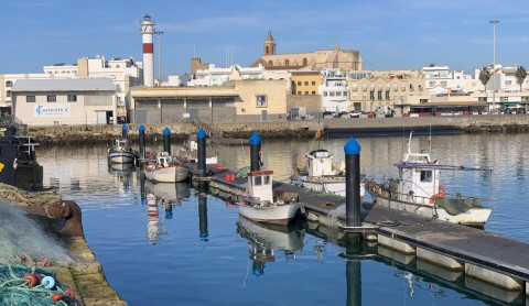 Unas jornadas sobre el pescado de Rota y el mercado nacional impulsar&aacute; el valor de productos como la corvina