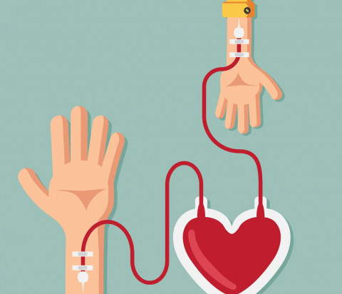 La unidad m&oacute;vil de donaci&oacute;n de sangre llega a Rota esta semana