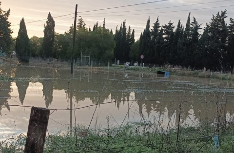 El Gobierno destina 1,4 millones de euros para ayudar a 117 agricultores y ganaderos de Rota afectados por las borrascas