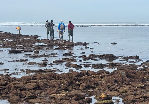 Las praderas marinas del litoral rote&ntilde;o centran la conferencia de esta tarde en el Castillo de Luna