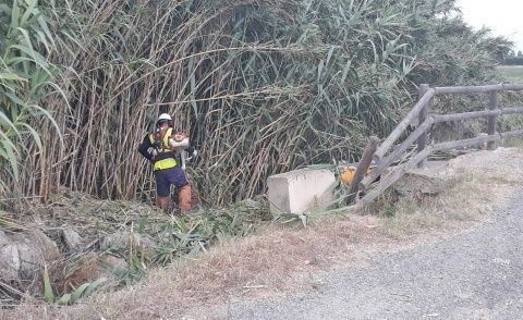 Trabajos en uno de los cauces de Rota
