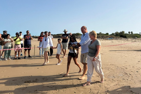 Una nueva tortuga rescatada desde SOS Caretta ha vuelto al mar desde Rota