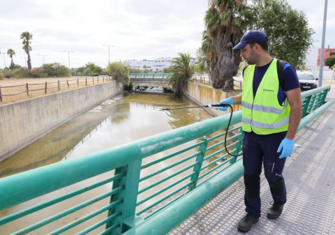 El Ayuntamiento inicia un tratamiento biol&oacute;gico contra las larvas de mosquitos en el Arroyo Alc&aacute;ntara