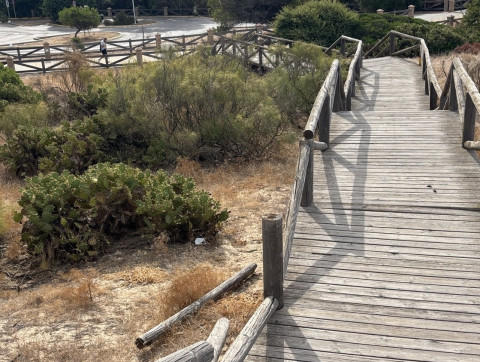 La Asociaci&oacute;n de Vecinos de Punta Candor vuelve a reclamar m&aacute;s atenci&oacute;n a este paraje de Rota