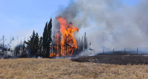 Amplio despliegue de bomberos y cuerpos de seguridad en un incendio en la Hijuela de la V&iacute;bora