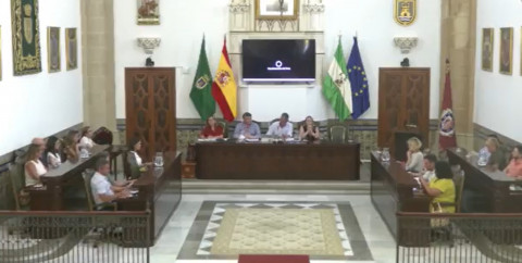 El pleno dio luz verde a la aprobaci&oacute;n inicial del primer Reglamento de Teletrabajo para el personal municipal