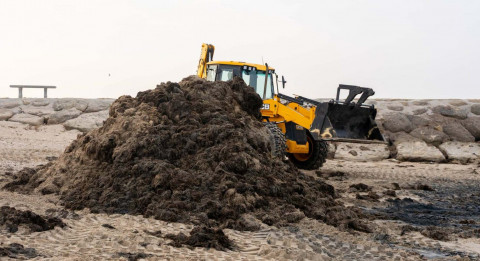 Retirados 3,2 millones de kilos de algas en lo que va de verano en Rota