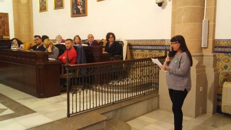 La coordinadora de Equo, María del Mar San José, en un pleno