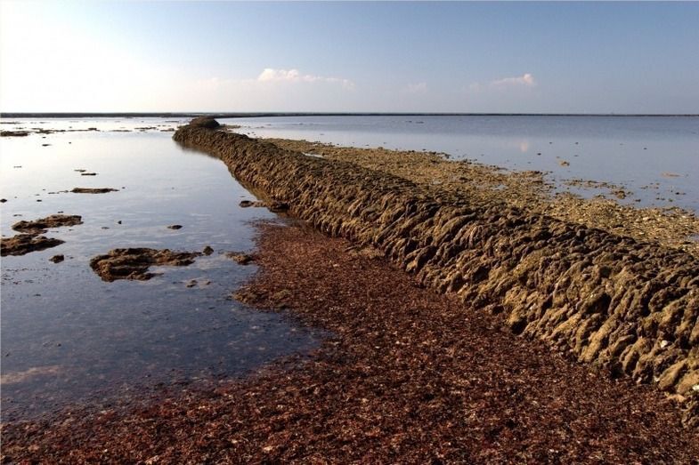 Los Corrales de Rota