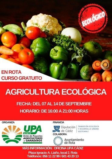 Cartel del nuevo curso organizado por UPA