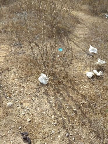 Una de las zonas afectadas