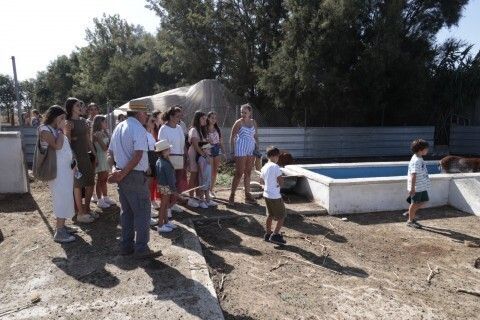 Visita de las damas y pajes.