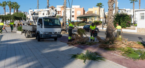 La poda de palmeras se extiende de forma progresiva por acerados y espacios p&uacute;blicos de Rota