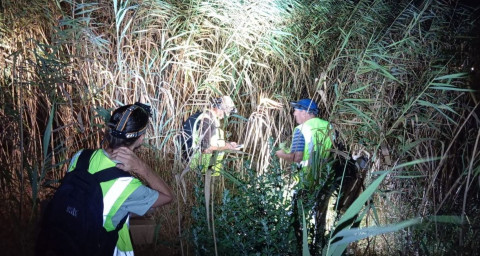 Comienzan los trabajos para la traslocaci&oacute;n del camale&oacute;n en los terrenos del sector R1 antes de su urbanizaci&oacute;n