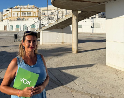 Vox reclamar&aacute; en el pleno la reparaci&oacute;n urgente de la pasarela peatonal de la avenida San Juan de Puerto Rico