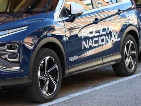 La Polic&iacute;a Nacional detiene a dos personas por presunto intrusismo en el &aacute;mbito de la seguridad privada y lesiones