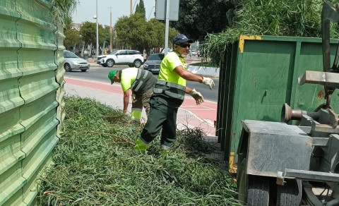 Parques y Jardines destaca el intenso calendario de actuaciones para cuidar y mejorar las zonas verdes de Rota