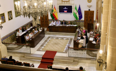 El Pleno aprueba una modificaci&oacute;n presupuestaria para apoyar a 73 asociaciones locales
